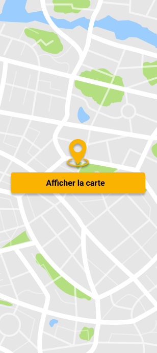 Afficher la carte